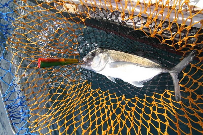 Used Lure 5368K Adhek Bali Pompom Popper Gt Bluefish Approx